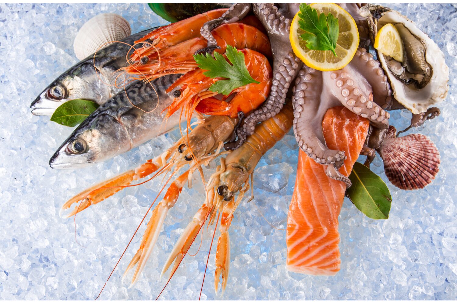 морепродукты